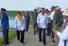 Sekolah Didorong Jadi Kebun Hidup, Bantul Tanamkan Minat Tani Sejak Dini