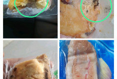 Bolen dan Roti Jamuran, Puluhan Wali Murid Keluhkan Menu MBG Ramadan SPPG Gandasuli Brebes