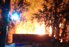 Api Membakar Pepohonan Bambu di Ngabean, Dua Armada Damkar Dikerahkan