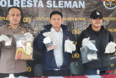Guru Honorer Hingga Residivis Sleman Jadi Marketing, 44.400 Pil Sapi Disita