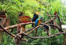 Liburan Hemat ke Gembira Loka, Update Terbaru Cara Dapat Tiket Gratis untuk Keluarga dan Wisatawan