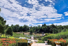 Rekomendasi Tempat Wisata Seru dan Menarik di Cibinong, Wajib Masuk List Liburan Akhir Pekan