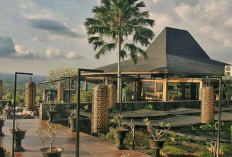Destinasi Sempurna untuk Kuliner hingga Healing Paling Cozy dan Asri di Jogja
