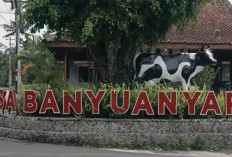 Desa Banyuanyar Sukses Berkembang Menjadi Desa Ramah Lingkungan Lewat Pemberdayaan Desa BRILiaN
