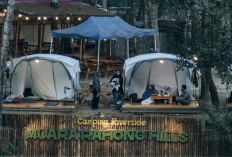 Melepas Penat di Muara Rahong Hills, Glamping Mewah di Tepi Sungai yang Nyaman 