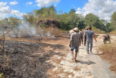 Kebakaran Lahan 2.000 Meter Persegi di Piyungan Bantul, Diduga Dipicu Puntung Rokok