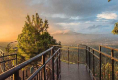 Eksotisme Tahura Djuanda Bandung, Pesona Hutan Raya Ikonik, Goa Jepang Wisata Alam 