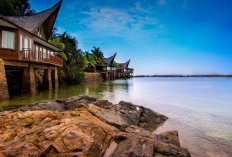 Penginapan Pilihan di Batam Masuk Daftar Rekomendasi Dari Resor Pantai Hingga Hotel Modern