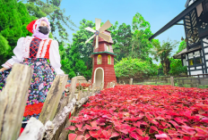 Menelusuri Bandung Jadi Destinasi Favorit Keluarga untuk Liburan Berkesan