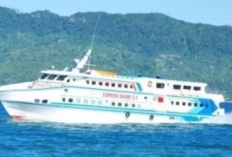 Berikut ini Detail Pilihan Transportasi Laut dan Estimasi Biaya Berlibur di Karimunjawa, Cek Info Lengkapnya