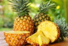 Anti-Begah! Ini Makanan dan Minuman Penetral yang Ampuh Mengatasi Pencernaan Agar Kembali Ringan