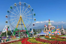 Pesona Taman Bunga Celosia di Semarang Jadi Destinasi Wisata Paling Hits 