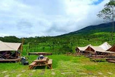 Keren dan Populer! 8 Tempat Camping Asyik dan Nyaman Tegal 2025, Liburan Seru Paling Sejuk di Alam Terbuka