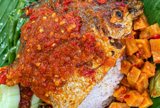 Eksplorasi Nasi Lemak Gurih Paling Enak di Jakarta dengan Sambal yang Juara!