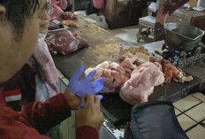Dinas Pertanian Yogyakarta Pastikan Daging Sapi di Pasar Aman Jelang Akhir Tahun
