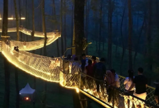 Mencari Kedamaian di Bandung? Ini Spot Wisata yang Aman, Asri, Menenangkan Jiwa dan Raga