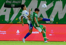 PSIM Jogja Siap Tantang Madura United, Van Gastel: Persiapan Kami Sangat Baik