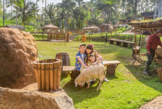 Promo Spesial Dairyland On The Valley Semarang dengan Penawaran Tiket Masuk Beli 2 Gratis 1