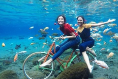 Liburan Hemat di Klaten ini Destinasi Wisata Hits yang Super Instagrammable 2026