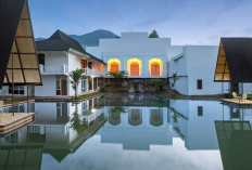 Menikmati Kesejukan Lereng Slamet Lewat Akomodasi Paling Nyaman dan Estetik di Baturraden