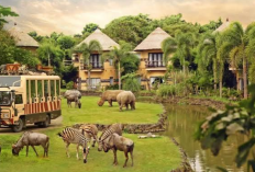 Menjelajahi Keajaiban Margasatwa The Amazing Taman Safari Bali, Cek Harga Tiket Masuk 