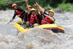 Rekomendasi Tempat Outbound di Malang, Pilihan Terbaik untuk Kegiatan Super Seru dan Menyenangkan