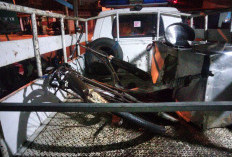 Pesepeda Ontel Ditabrak Mobil di Jalan Parangtritis Bantul, Korban Dilarikan ke RSUD Panembahan Senopati
