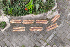  Mahasiswa UNY Sulap Limbah Kayu Jadi Kotak Tisu, Inovasi Kreatif di SMKN 1 Kalasan