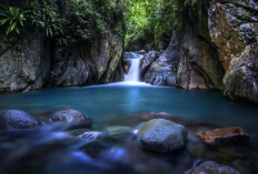 Menjelajah Hidden Gem Paling Spektakuler untuk Liburan Tenang di Bogor Bikin Pikiran Segar 