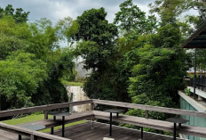 Daftar Destinasi Kuliner Bernuansa Alam Terbaik di Yogyakarta