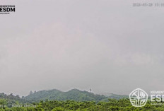 Awan Panas Guguran Gunung Merapi Terjadi Jumat Sore, Sungai Berhulu Merapi Diminta Diwaspadai