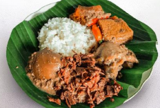 Sensasi Berburu Gudeg Malam Jogja, Kuliner Legendaris Penyelamat Lapar