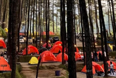 Surga Wisata Blitar untuk Libur Nataru Bisa Dijadikan Pelarian Sejuk Akhir Tahun, Berikut Info Lengkapnya