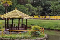 Serunya Berinteraksi dengan Satwa Langsung! Dapatkan Promo Diskon Tiket Jogja Exotarium Mini Zoo Sleman 