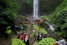 Pesona Wisata Alam di Malang Paling Menarik, Hits dan Spektakuler