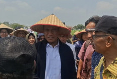 Mentan Amran Sebut Stok Beras 4,5 Juta Ton, Target Kedelai UGM Bisa Diperluas hingga 5.000 Hektare