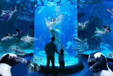 Wisata Keluarga Ramah Anak dan Edukatif Jakarta Cocok Dijelajahi, Simak Informasi Lengkapnya Disini