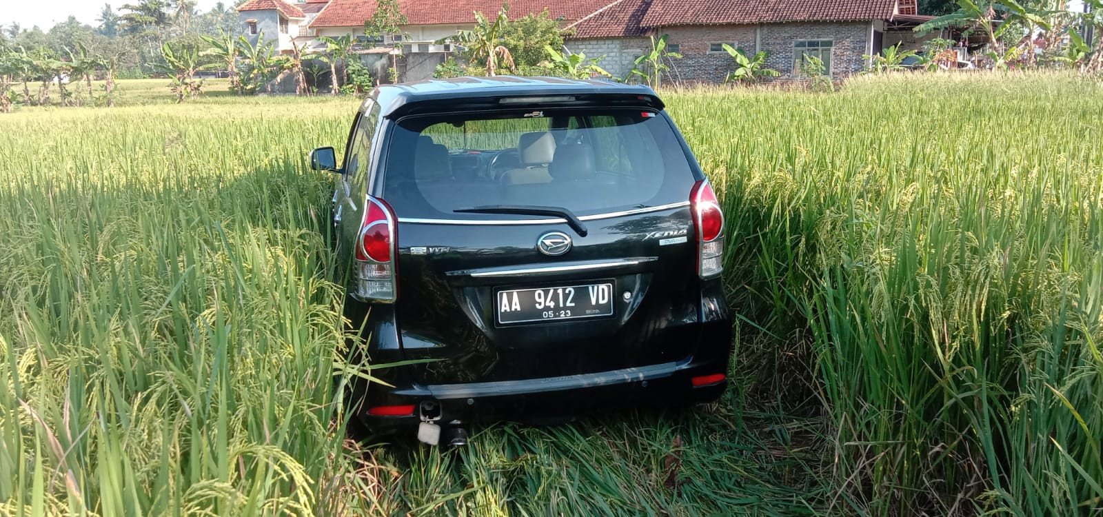 Sopir Kurang Konsentrasi, Mobil di Kulon Progo Nyungsep ke Sawah Bikin Geger